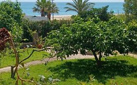 Il giardino sul mare